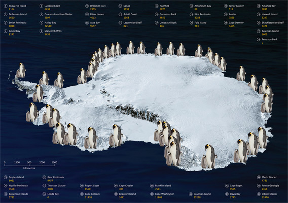 Emperor penguin populations in Antarctica