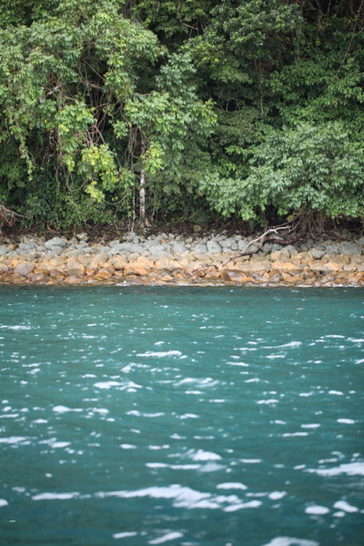 Turquoise sea and rain forest of Isla Gorgona