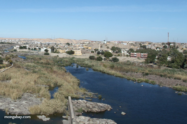 challenges of the aswan dam project The aswan high dam, funding for any project which increases nile flow the recent challenges to the nile basin treaties posed. challenges of the aswan dam project The aswan high dam, funding for any project which increases nile flow the recent challenges to the nile basin treaties posed.