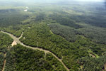 Oil palm plantation and mangroves in Borneo