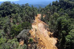 Industrial logging in Malaysian Borneo