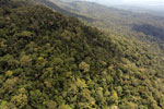 Borneo rainforest -- sabah_aerial_1059