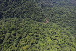 Borneo rainforest river -- sabah_aerial_1169