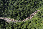 Rainforest river in Borneo -- sabah_aerial_1452