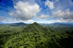 Borneo rainforest -- sabah_aerial_1802