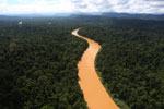 Kinabatangan River