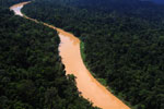 Kinabatangan River -- sabah_aerial_2477