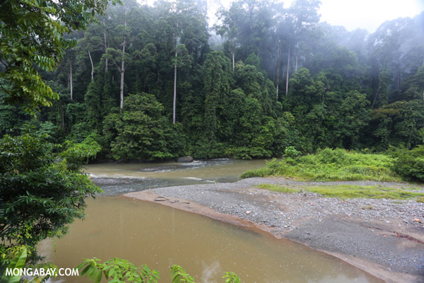 Dating places in sabah