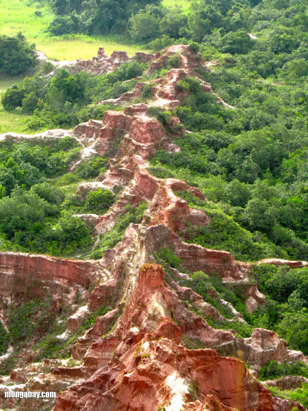 Congo Gorge