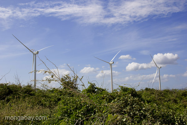 Windfarm in the Pedernales Peninsula, Dominican Republic.