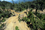 Bulldozer tavanomaisella hakkuualueella Borneolla -- sabah_aerial_0666