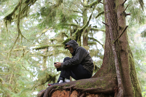 Rhett Butler in the Washington rainforest